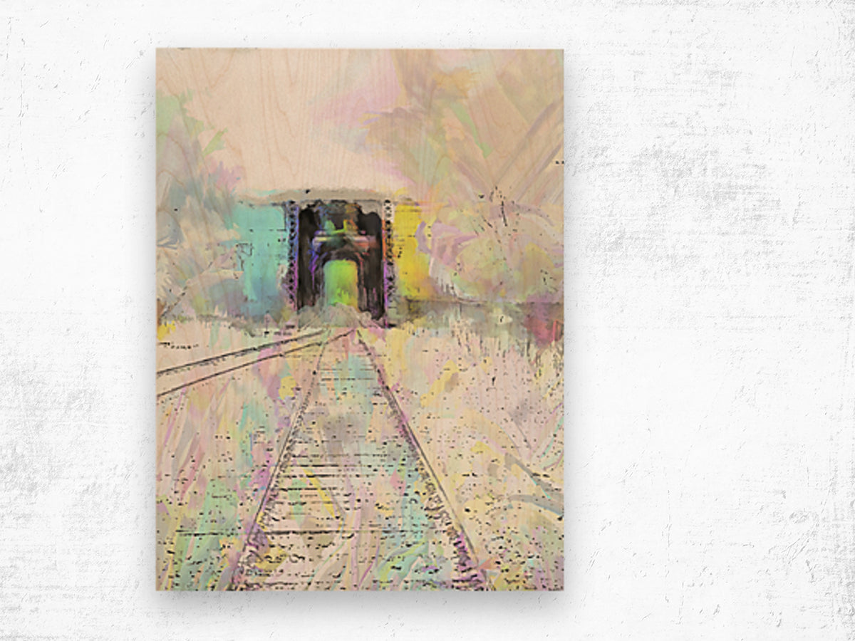 Chromatic Journey: The Tunnel s Spectrum by Le Boulanger - Wood Print